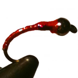 Hot Orange bloodworm/buzzer