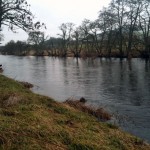 glideatbend Looking upstream at glide