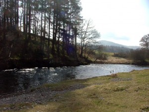 sunny-tweed-in-spring Sunny Spring day on Tweed below Manor Bridge
