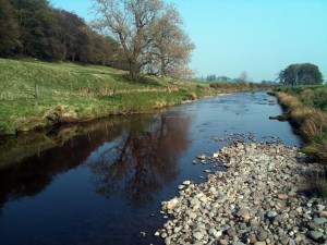 lower fossoway 3 Below Fossoway Fish Farm