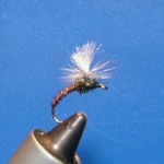 ptklink Pheasant tail Emerger