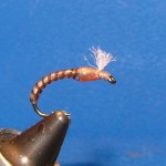 the_wrong_midge The Wrong Midge