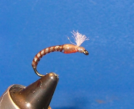 The Wrong Wrong Midge