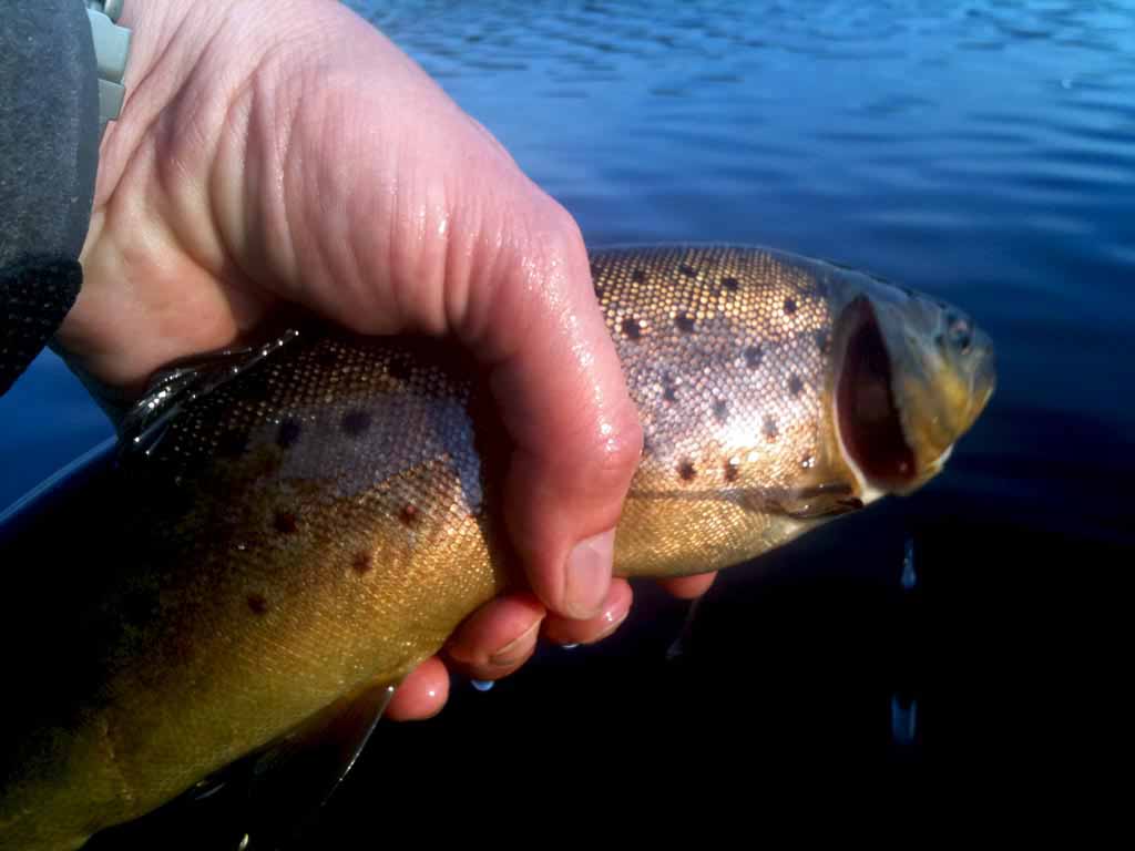 A Challenge Fulfilled