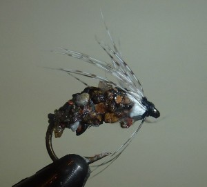 JT Cased Caddis JT Cased Caddis