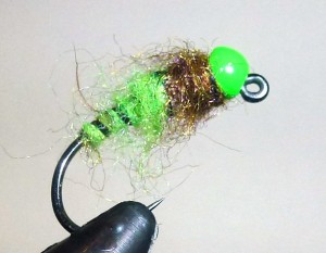 JP Green and Brown Bug JP Green and Brown Bug