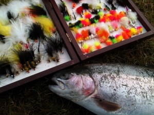 luresnfish Fishing Lures at Wellsfield