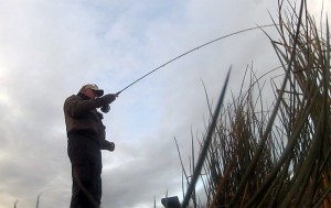 strike its on! Its off!
