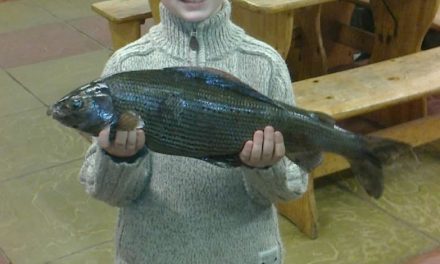 Monster Grayling from the Clyde