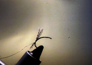 Unfamous Pheasant Tail Nymph 