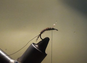 Unfamous Pheasant Tail Nymph 