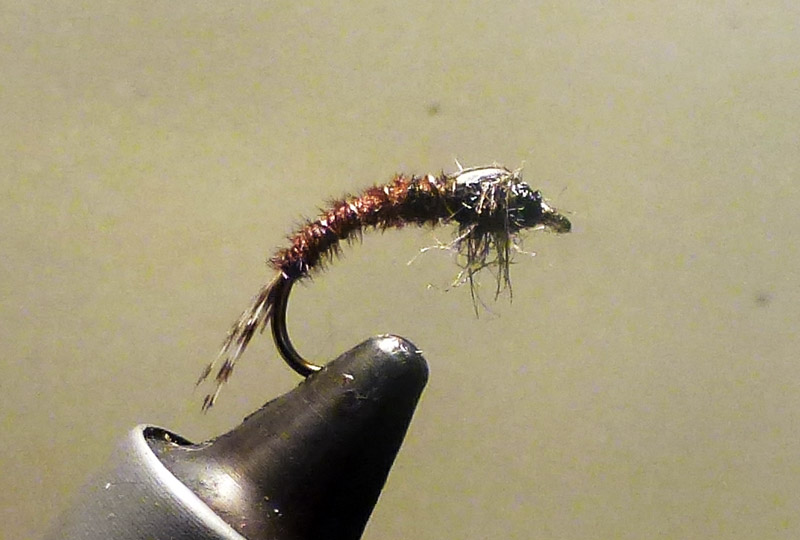 The Unfamous Pheasant Tail Nymph