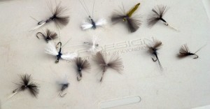 Midges Some CDC midges I have just tied
