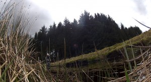 casting on the burn Upstream dry fly