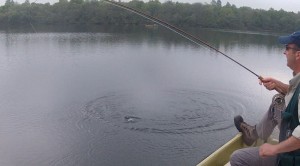 Taking a blob on top A blob on top
