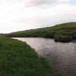 In places it seems like you might be in the Fens