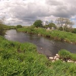 The left bank above Browns Bridge