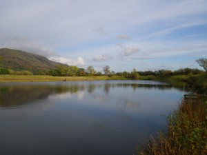 Harviestoun east
