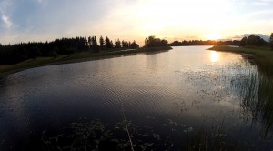 perfect evening A perfect evening with no fish