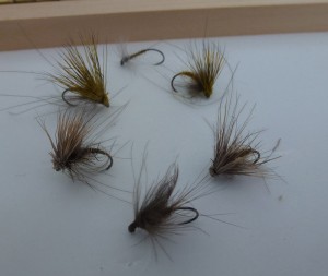 river dries Some river dry flies