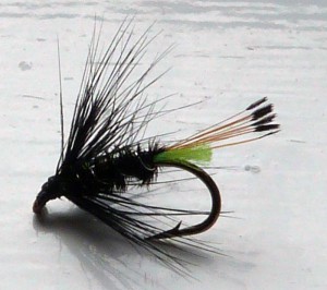 A KeHe wet fly