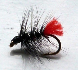 An old favourite of mine- the Zulu wet fly