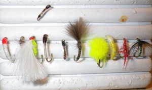 motley crew Most of the flies I tried yesterday