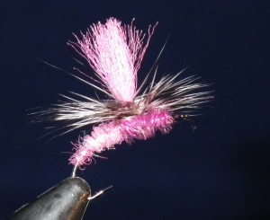Pinkhammer