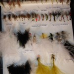 Dries and Lures