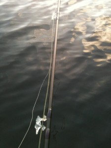 Ice on my rod rings