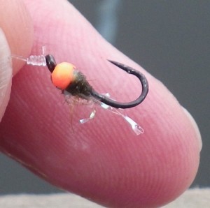 The Orange beaded Micro Nymph The Orange beaded Micro Nymph
