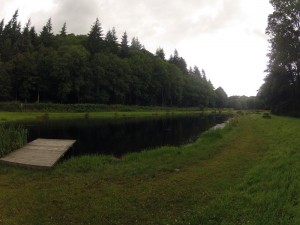 The smaller pond at Chirk