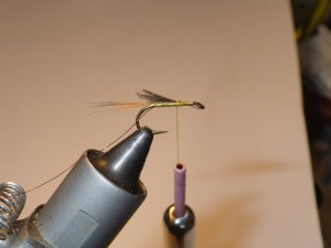 Step 2 tie in tail