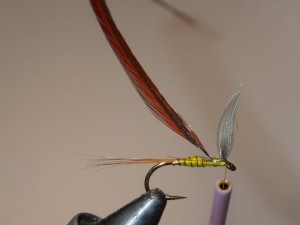 dunsbs6 Hackle added