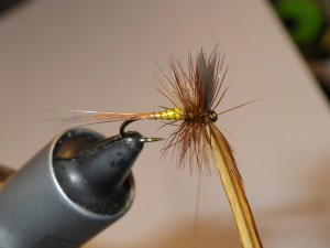 Tie off hackle