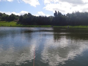 Anglers at the Tarn