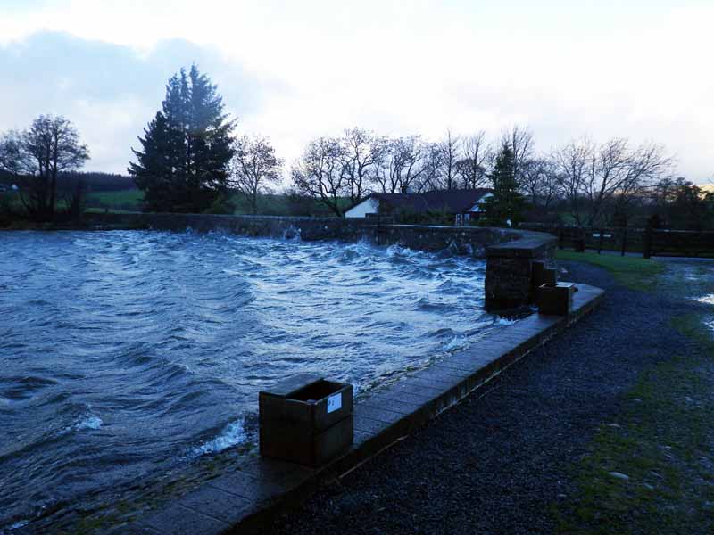 You don’t have to be mental to fish here