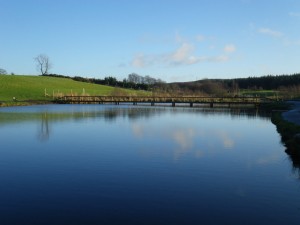 The new bridge across the burn end of Burnhouse fishery