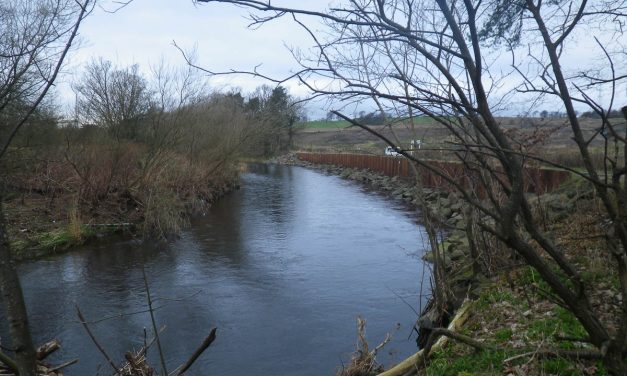 River Carron Beat Map
