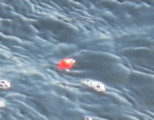 Fishing the bung