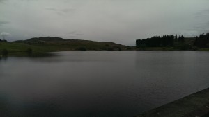 Thursday evening at Pendreich