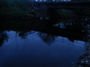 Fishing the pool in low light