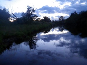 Rise on the Carron