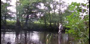 Fishing the Nidd