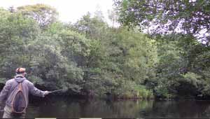 Fishing the Nidd