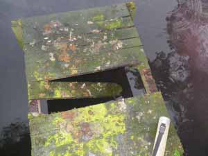 Broken planks on the platform