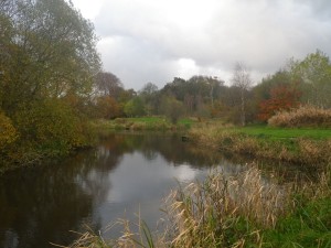 Fair day at Swanswater