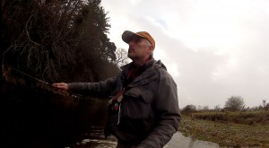 Fishing with bugs