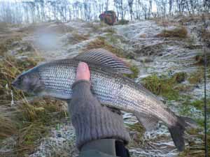 A Clyde Grayling