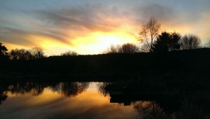 A winters sunset 